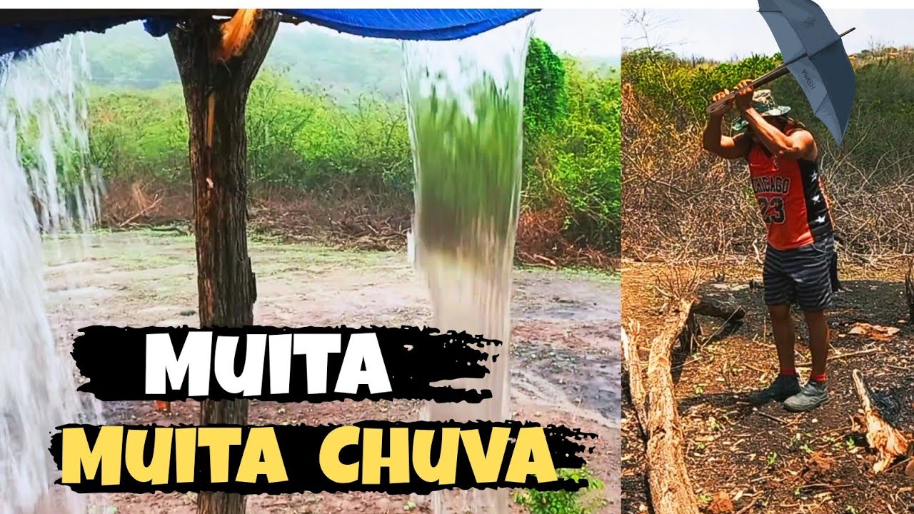 MUITA CHUVA NO ROÇADO + MAIS PRESENÇA DE ASSIS IRMÃO DE PEPI