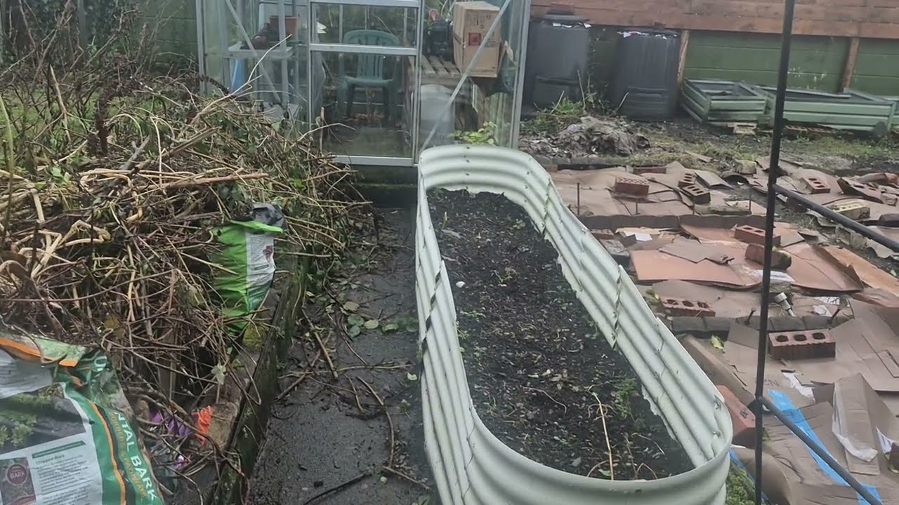 #609 The journey of a forgotten garden - Update - February 2026