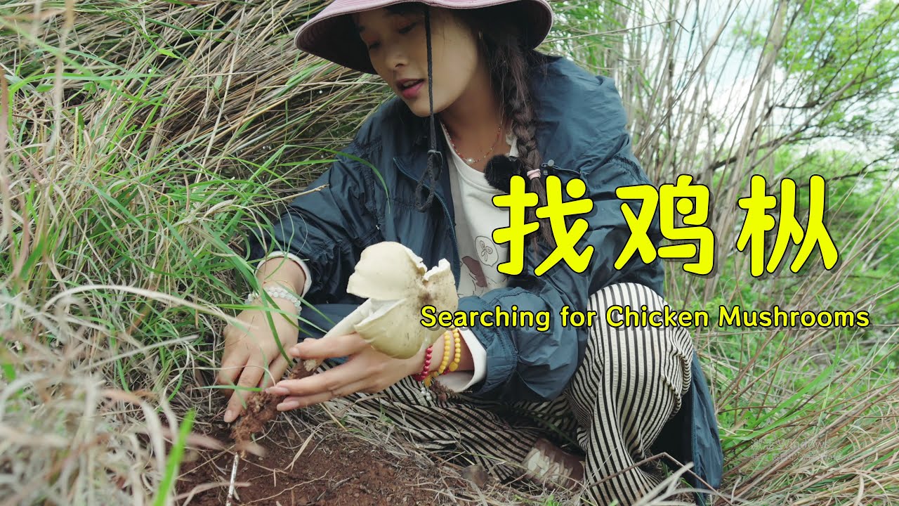 上山采美味鸡枞！| Harvesting Delicious Chicken Mushrooms in the Mountains! 【叫我阿霞Channel】