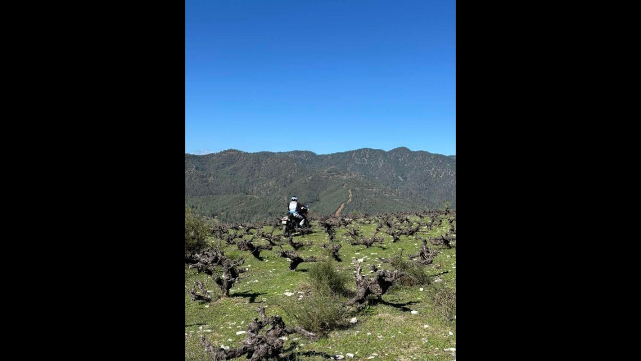 Adv is better with music. Cyprus xyliatos to platania. Africa twin XRV750