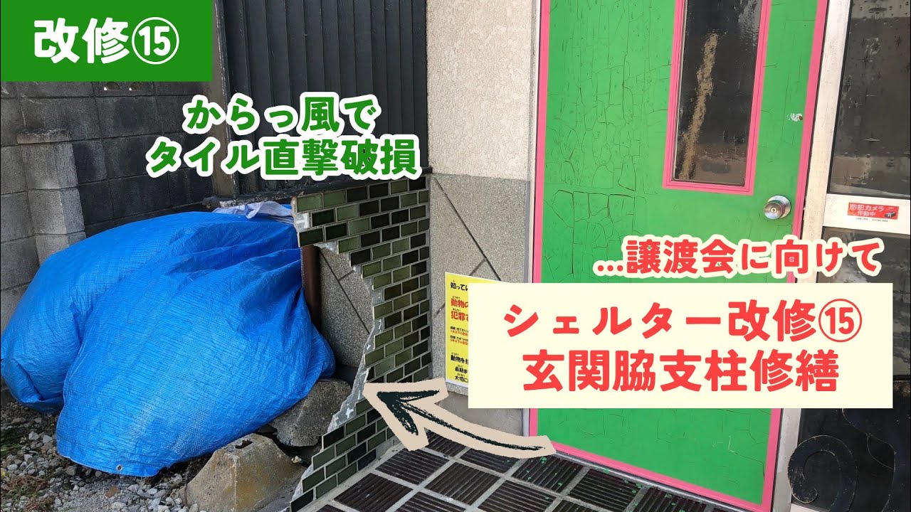 シェルター改修⑮玄関脇の支柱修繕🐱芸術仕上げの巻き