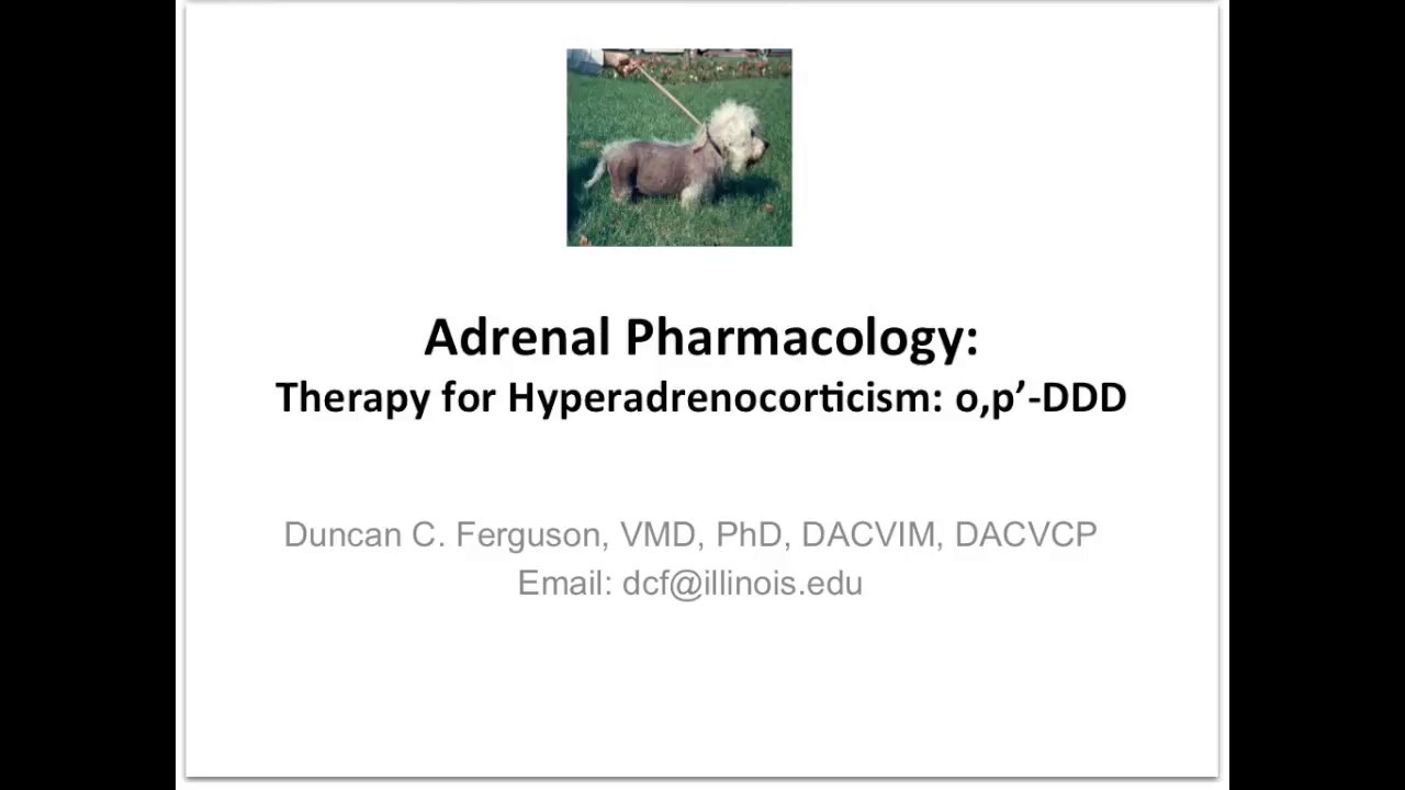 Adrenal Pharmacology: Therapy of Hyperadrenocorticism - o,p'-DDD
