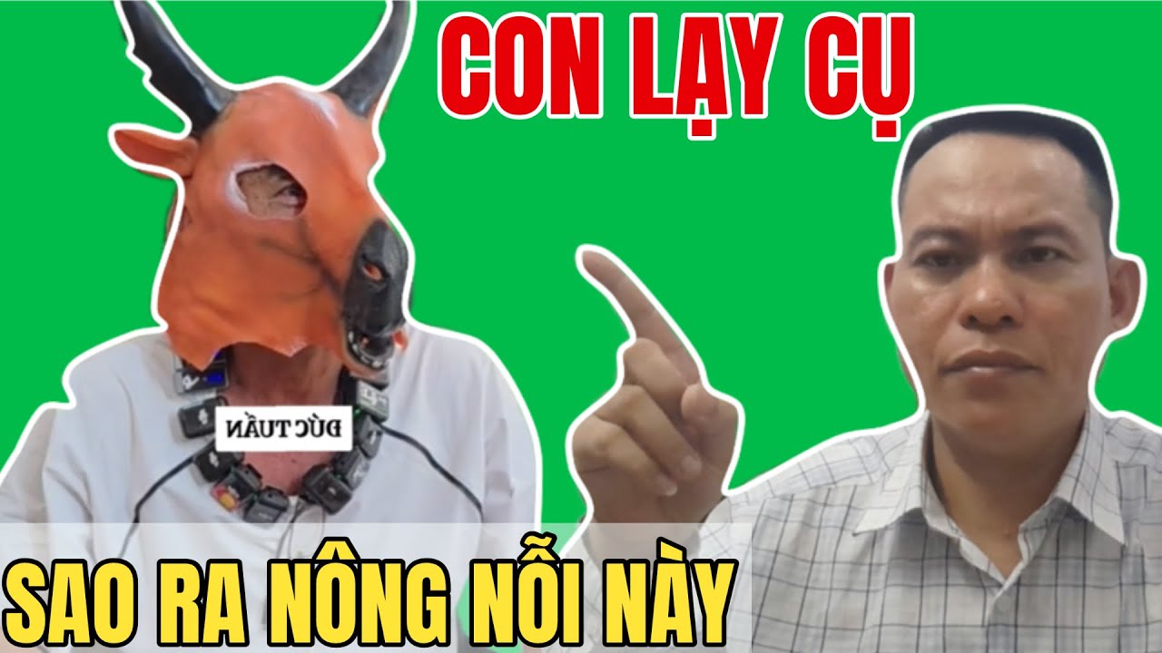 Sao Lại Ra Nông Nổi Này Cụ