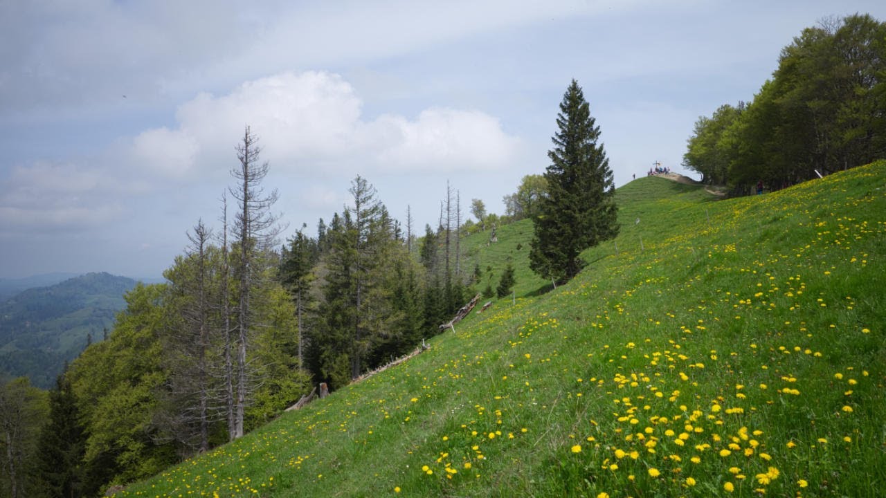 ⛰ Hulftegg - Schnebelhorn Wanderung