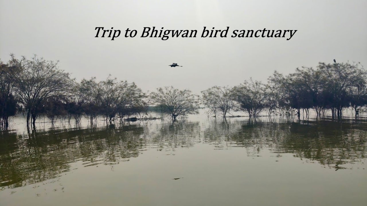 Trip to Bhigwan bird sanctuary 