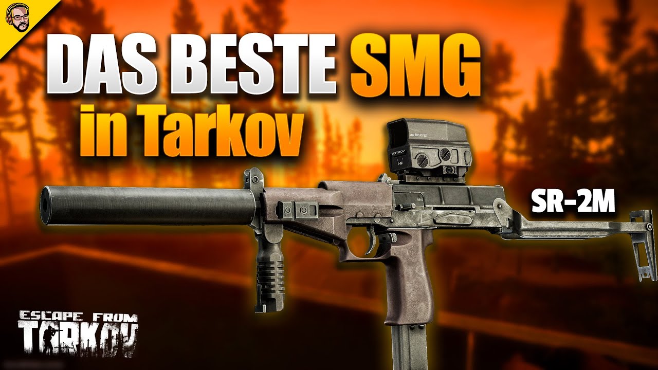 Wieso du die SR-2M spielen solltest - Tarkov Budget Waffen Guide