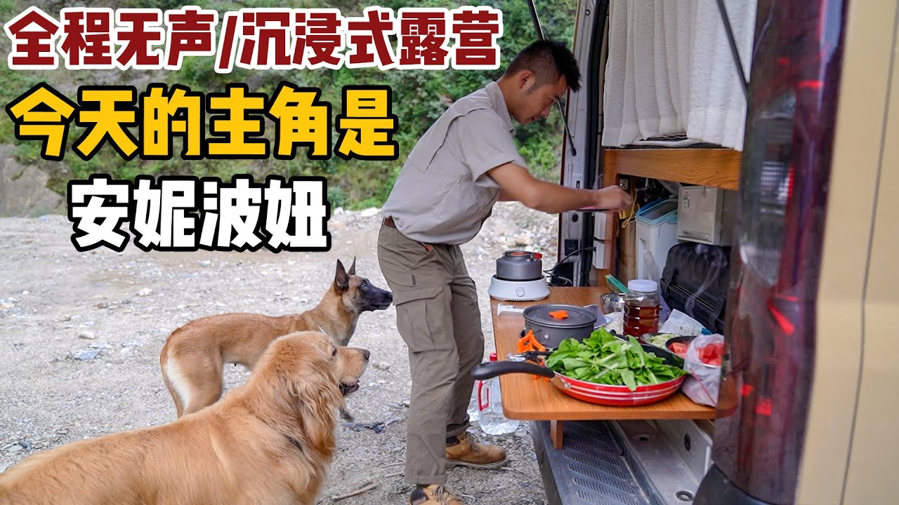 第一次沉浸式露营，安妮和波妞的搞笑对白，感受露营带来的快乐【小白的奇幻旅行】