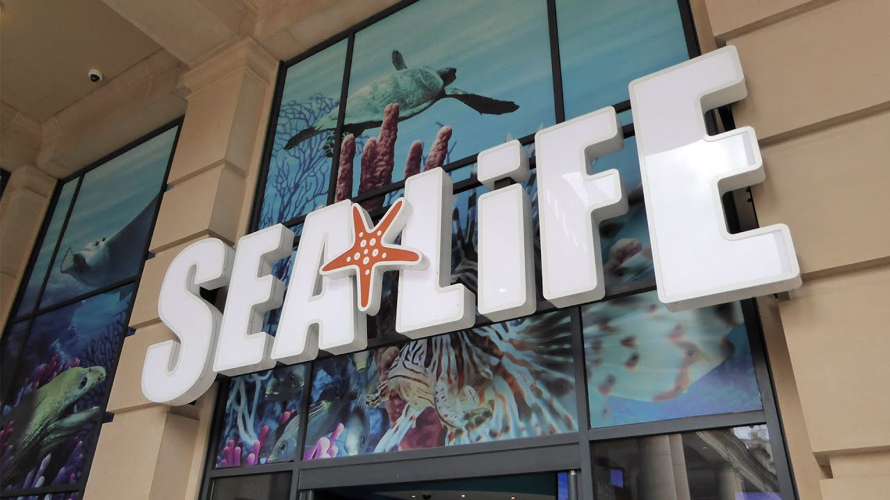 Sea Life Centre Manchester - Full Tour