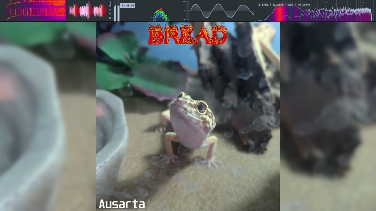 Gecko Dance Funk