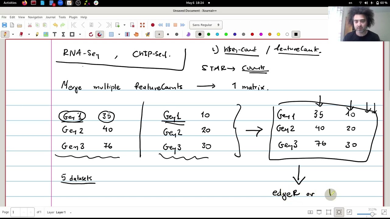 BIOL315 How to merge outputs of featureCounts (or htseq-count) in Galaxy 2023 05 06 18 21 19