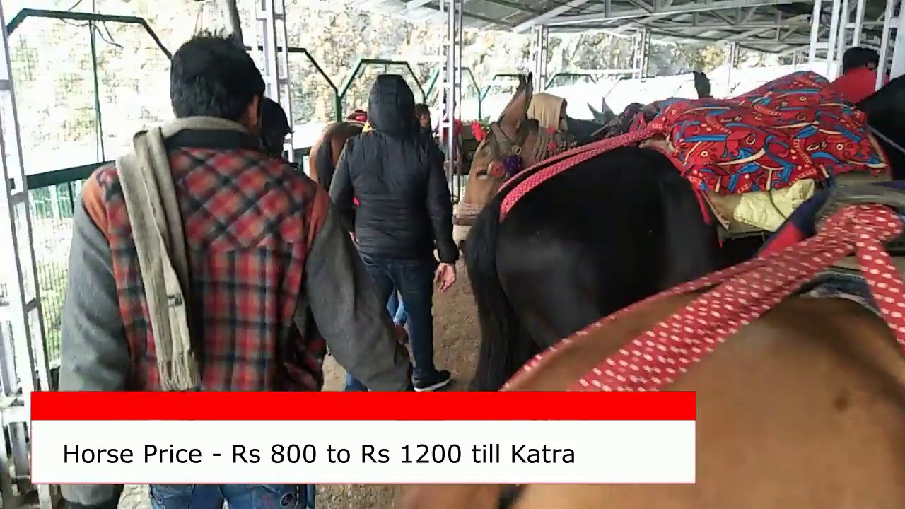 Katra to Bhawan Mata Vaishno Devi by Horse charges, Price,  time taken