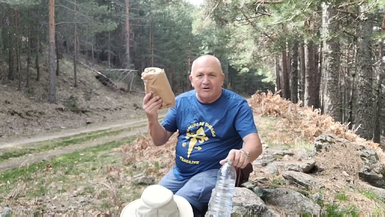 Camino de Santiago desde Madrid, Marzo  - Abril 2024, Etapa 4 Cercedilla - Segovia
