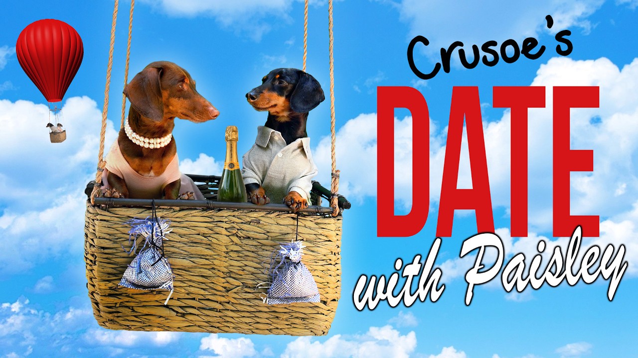 Ep 10: Crusoe the Dachshund's Date with Paisley! &mdash; (Cute Doggy Date)
