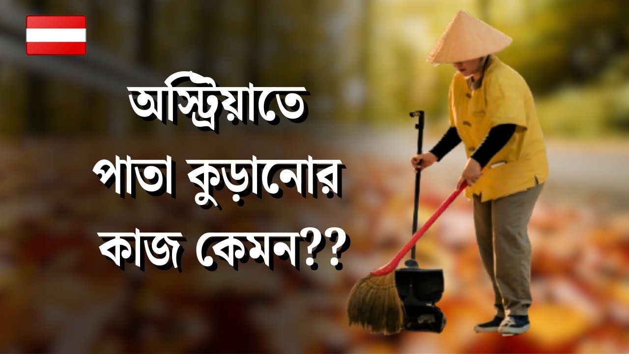 অস্ট্রিয়াতে পাতা কুড়িয়ে লাখ টাকা ইনকাম সম্ভব? | Real Road Cleaning Job Income in Austria |