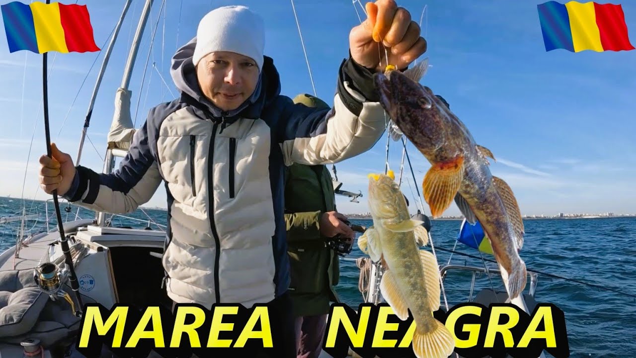Iarna in largul Mării Negre in căutarea Guvizilor.