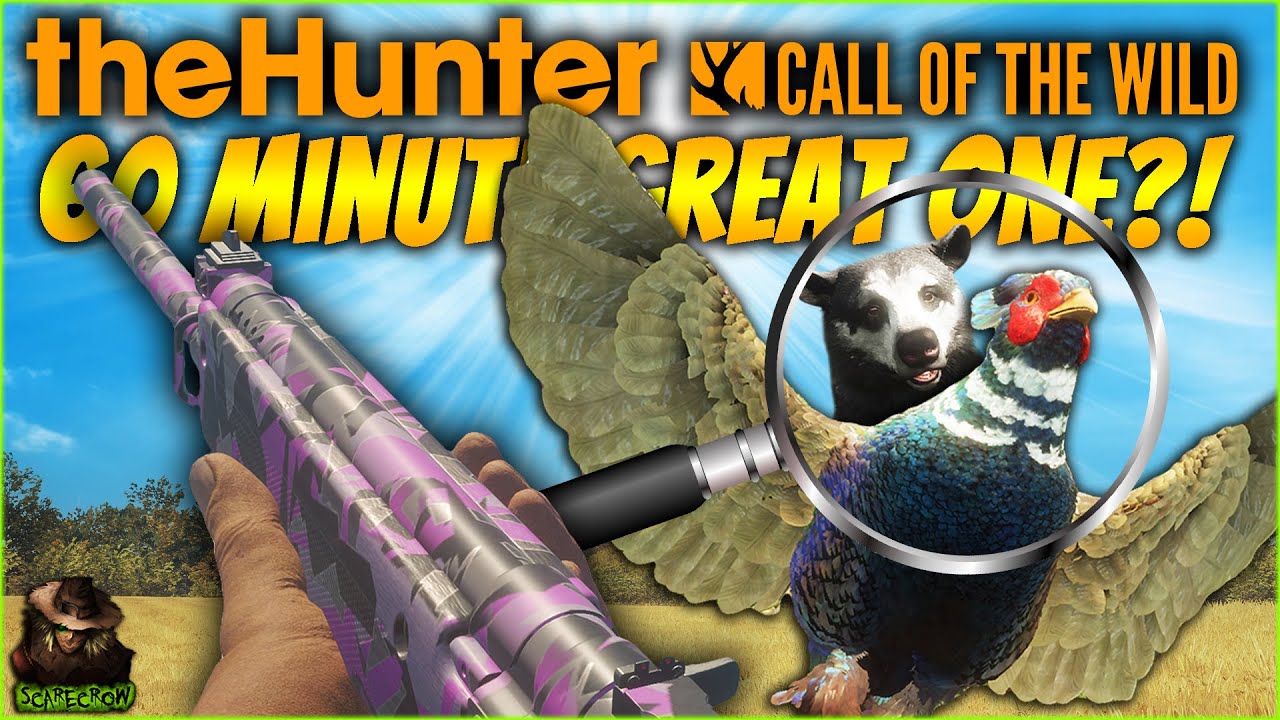QUICK! We Have 60 Minutes To Get A Great One! Call of the wild