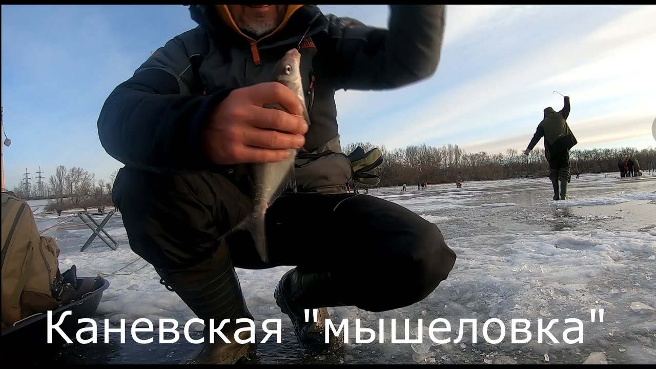 Каневская 