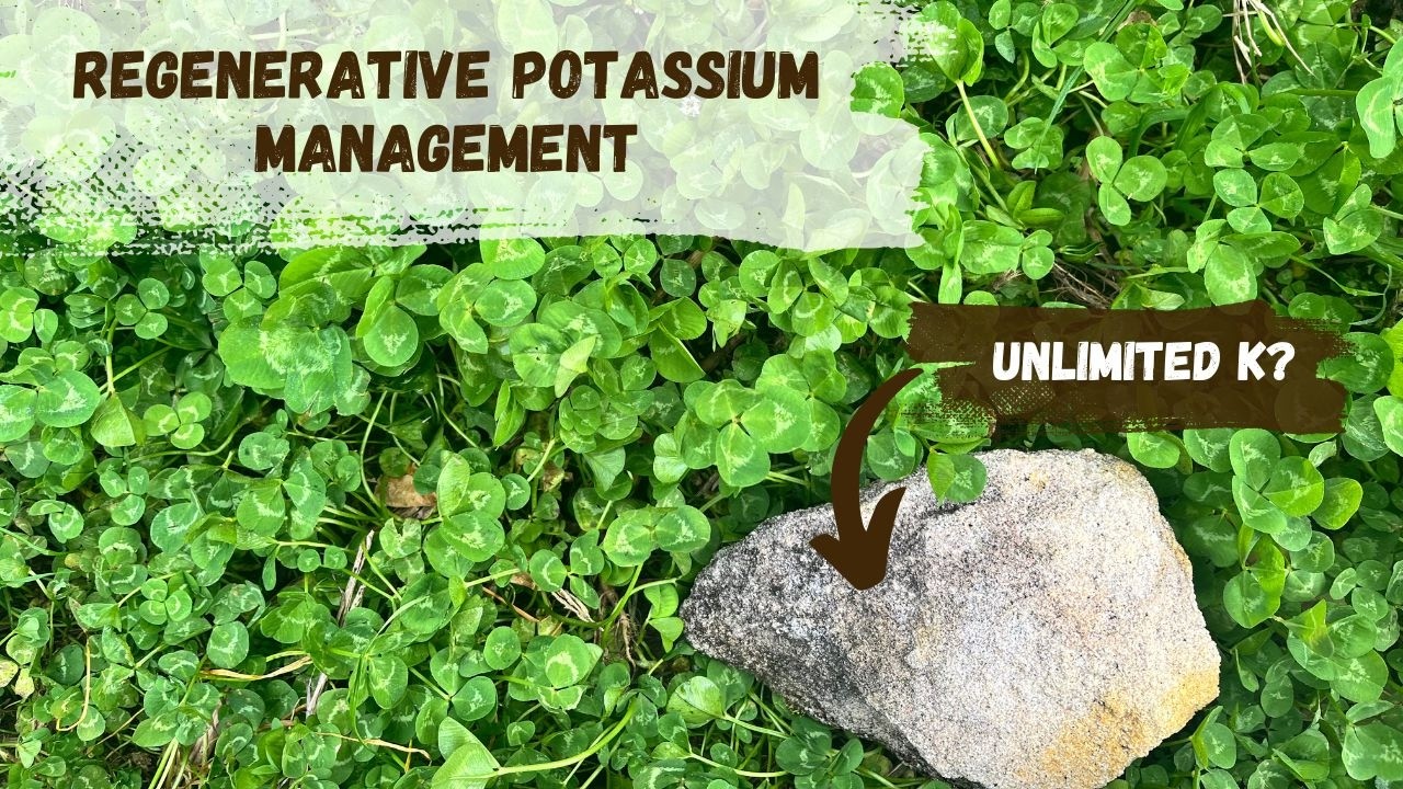 Regenerative Potassium Management