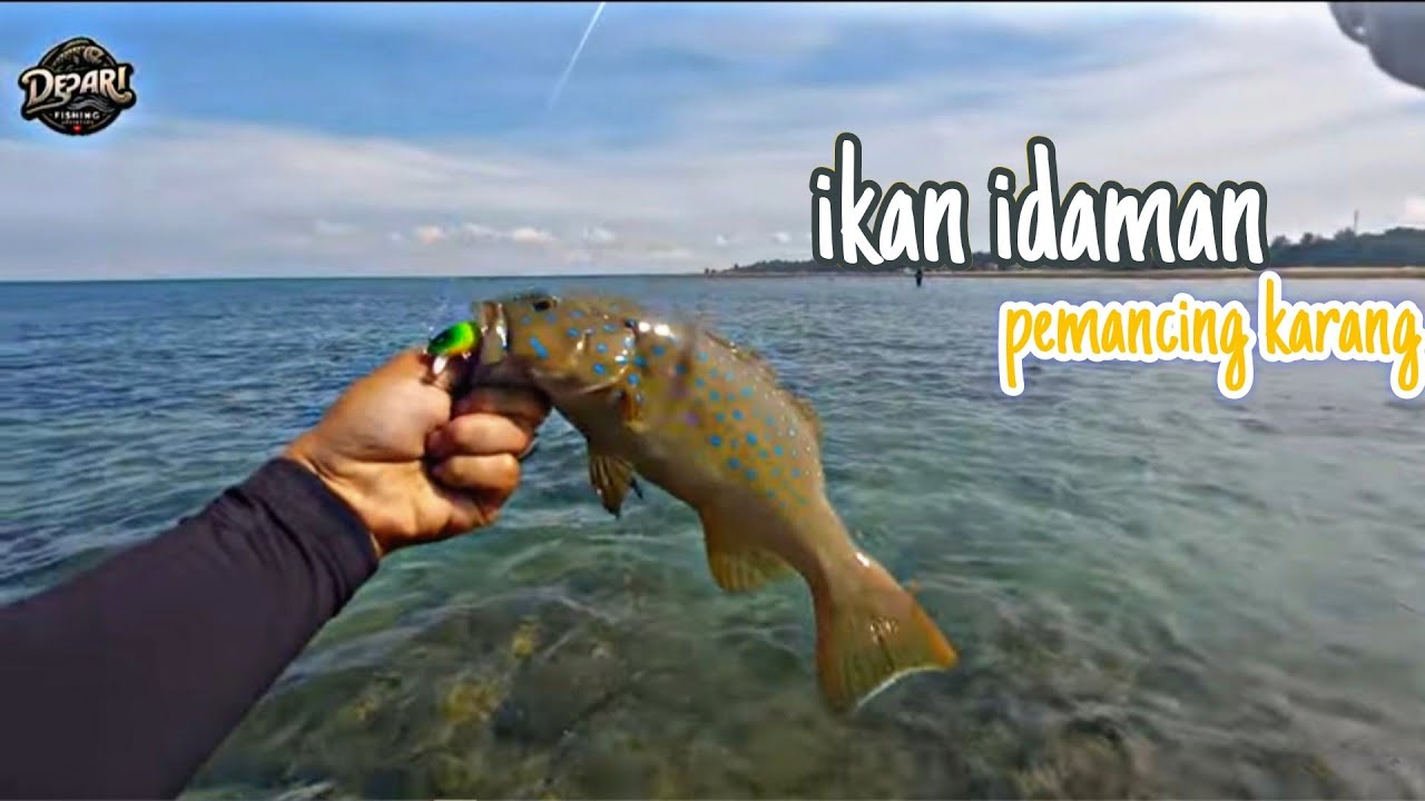 CASTING DI KARANG DANGKAL BATAM KRAPUNYA BERAGAM JENIS