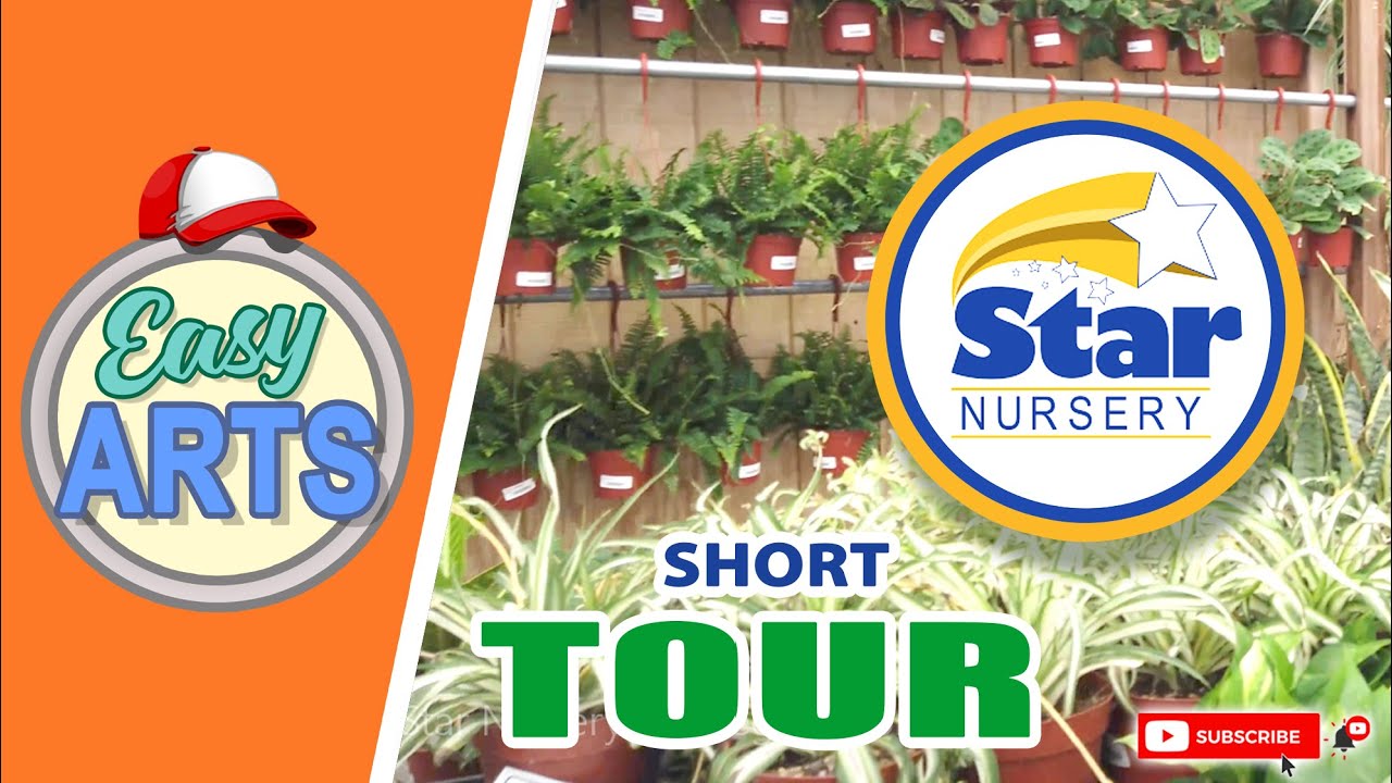 Star Nursery Las Vegas: Short Tour