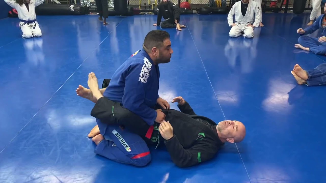 Triangle / Armbar / Omoplata