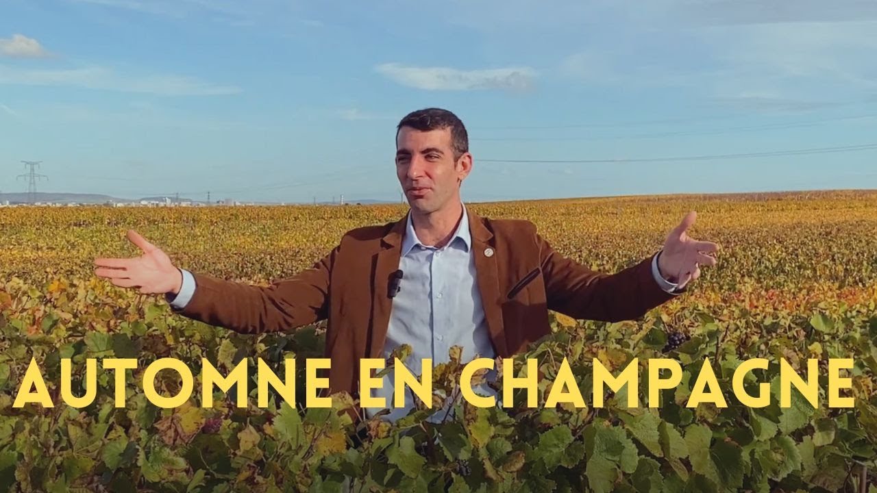 Pourquoi venir en champagne en automne !