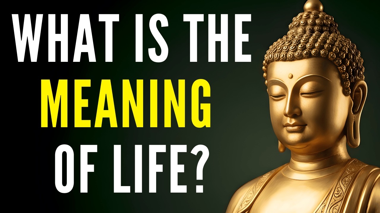 What Is the Meaning of Life? Discovering the Meaning You Were Always Meant to Create