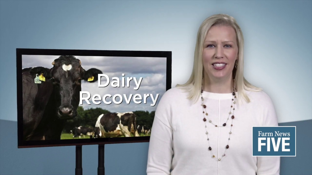 FN5: Dairy Markets Improving