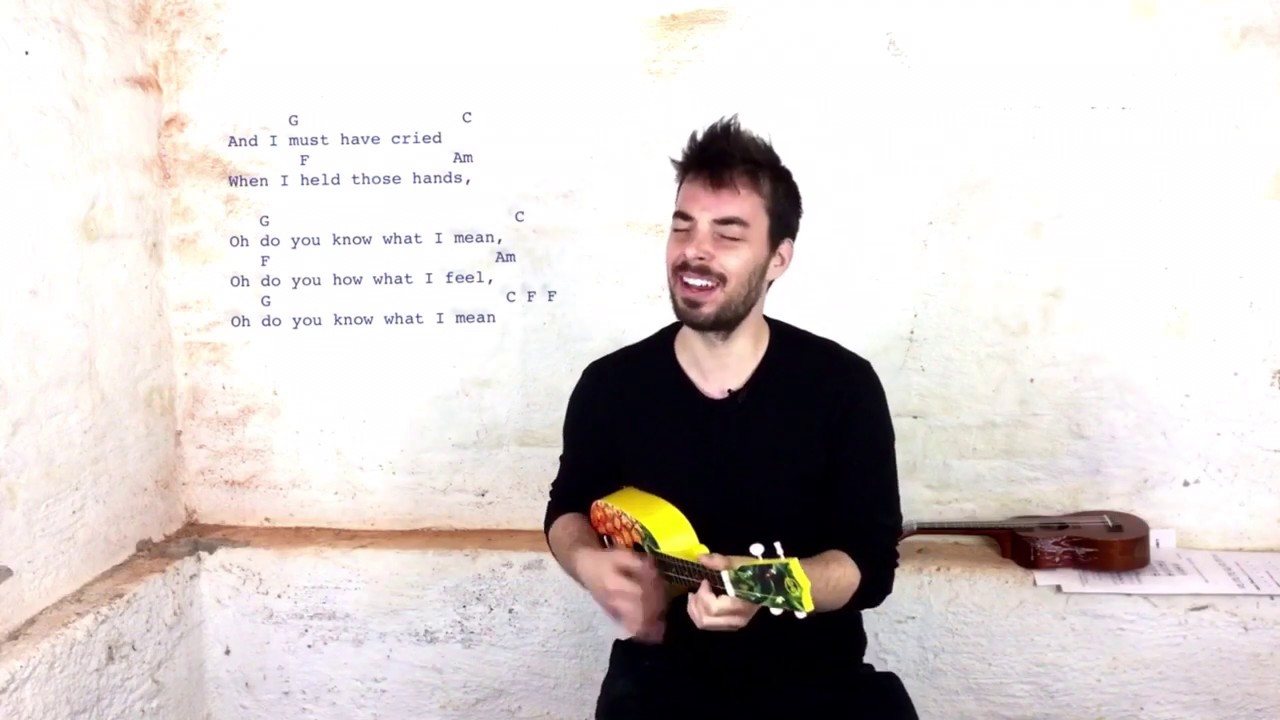 Snaggletooth - Vance Joy (ukulele cover)