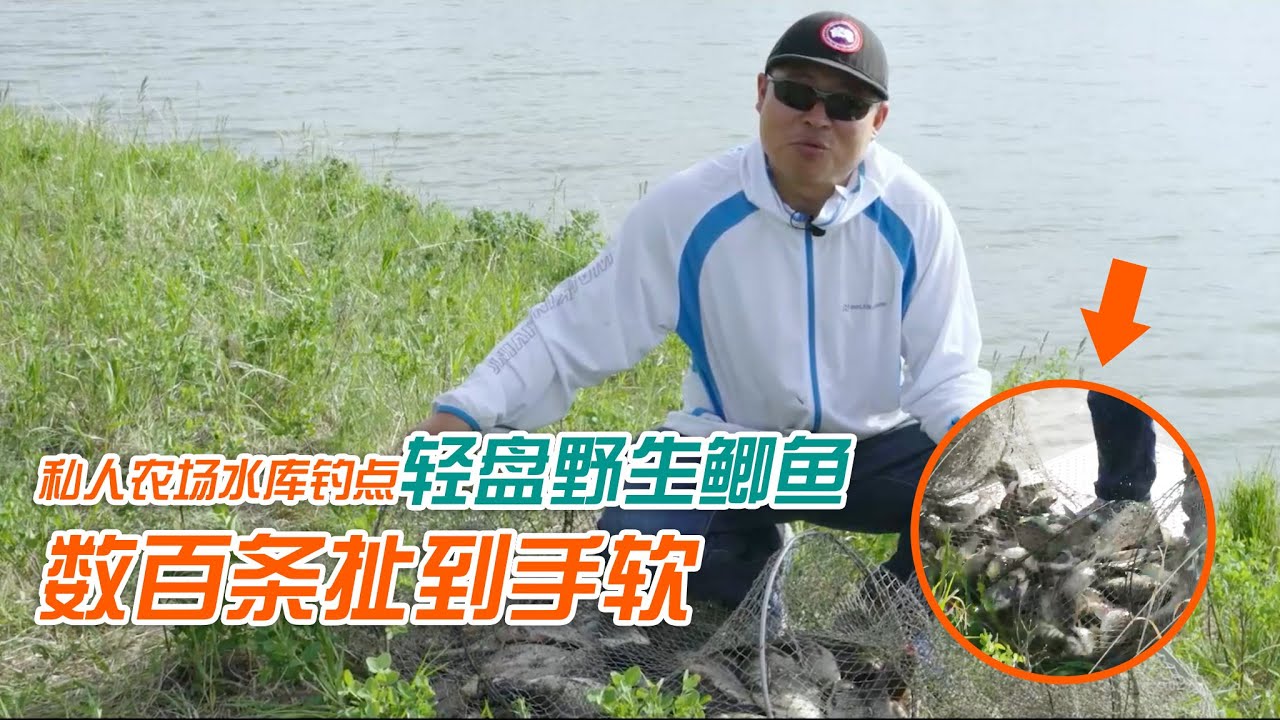 轻盘私人农场水库，野生鲫鱼连杆不断，几百条扯到手软