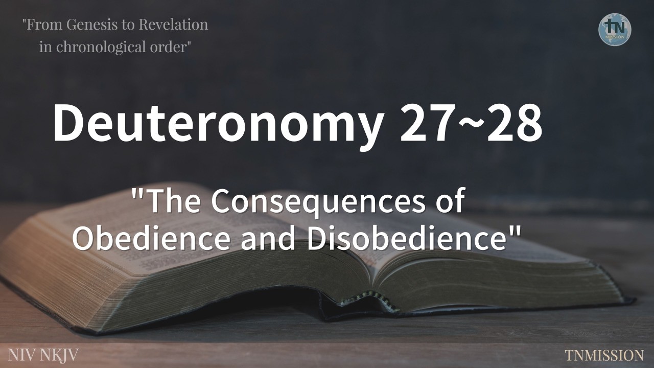 The Consequences of Obedience and Disobedience,  No 66, #Deuteronomy, 27-28, Bible 365 QT