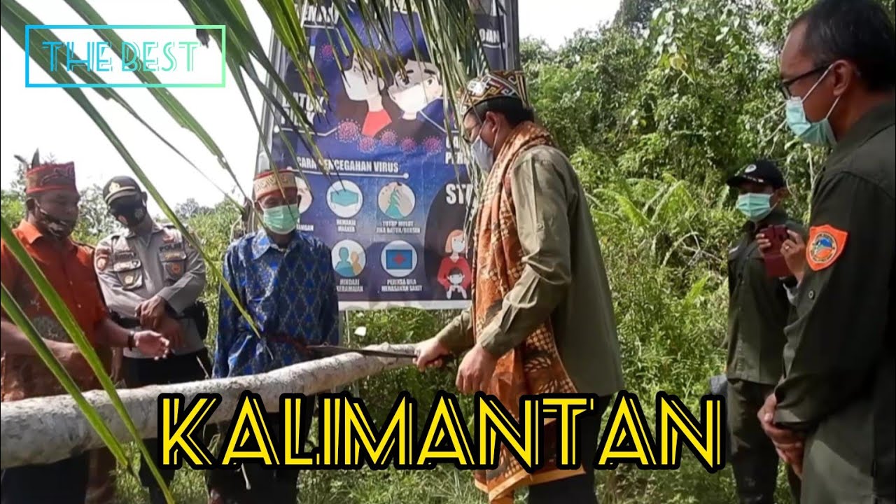 Perjalanan Wisata Alam, Acara Penyambutan Tamu Adat Dayak Kalimantan Tengah #traveling