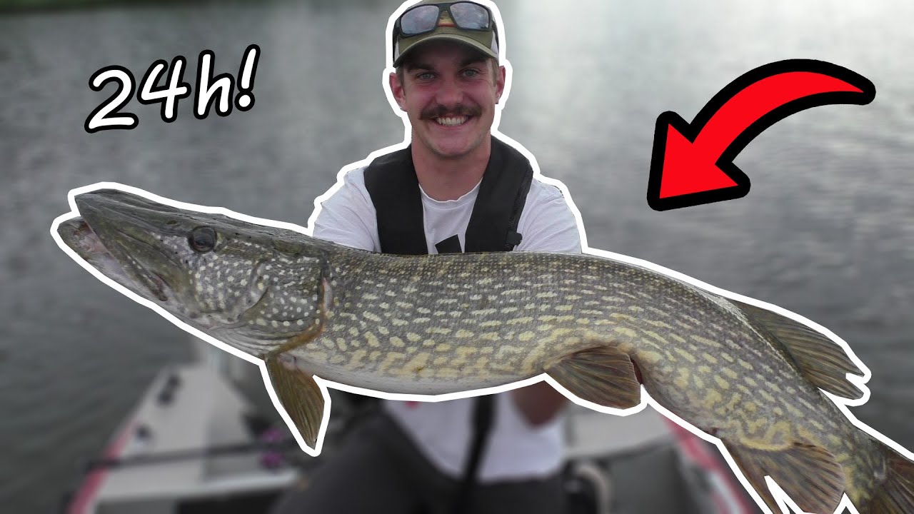 SJUKA GÄDDOR!! i 24h Predator Grand Prix 2024!