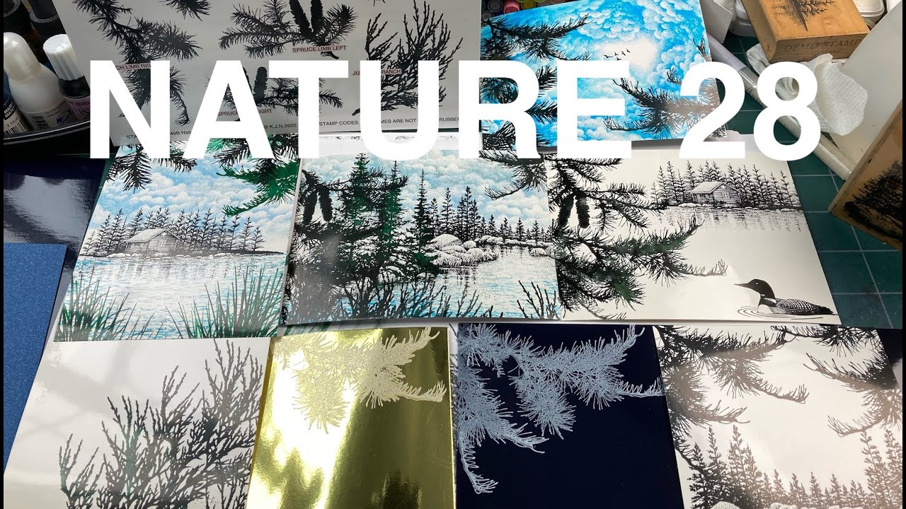 Stampscapes 101: Video 804 Stamp Sketching with Nature Set 28