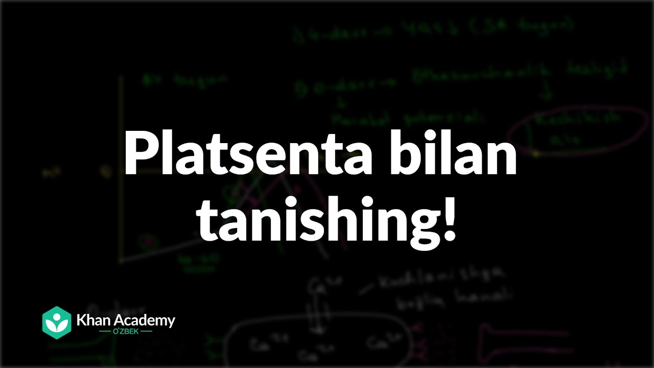 Platsenta bilan tanishing! |  Homiladorlik va homiladorlik asoratlari | Tibbiyot