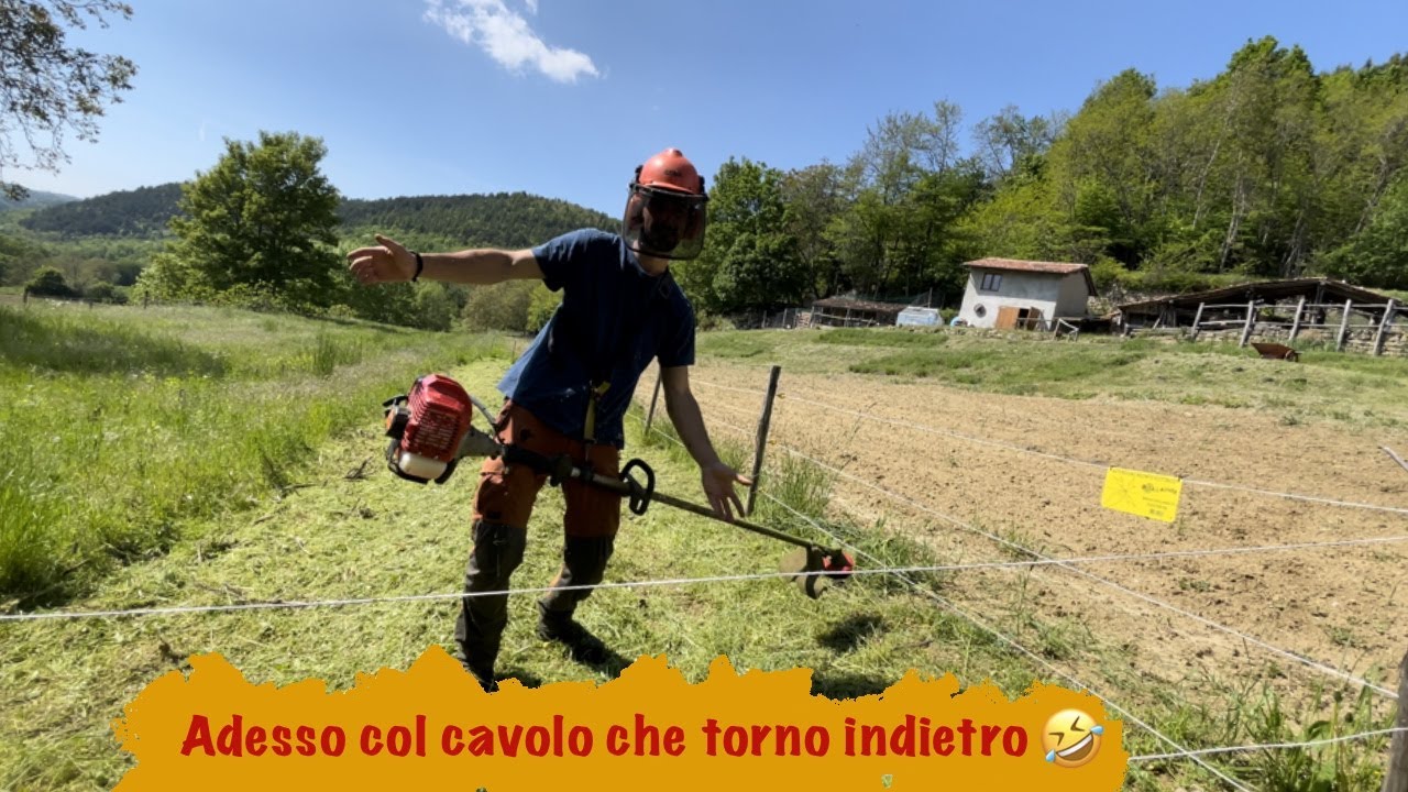 Nuova Testina Batti e Vai per il Decespugliatore! - una piccola Rivoluzione 💯@bazargiusto