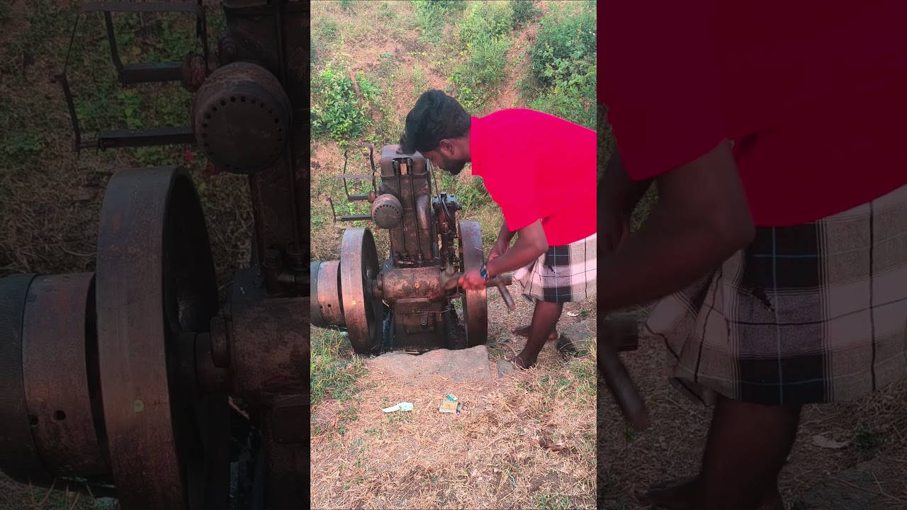 🍅பூமியால் நிம்மதியான வாழ்க்கை🏝️#shorts🌿 #music #agriculture