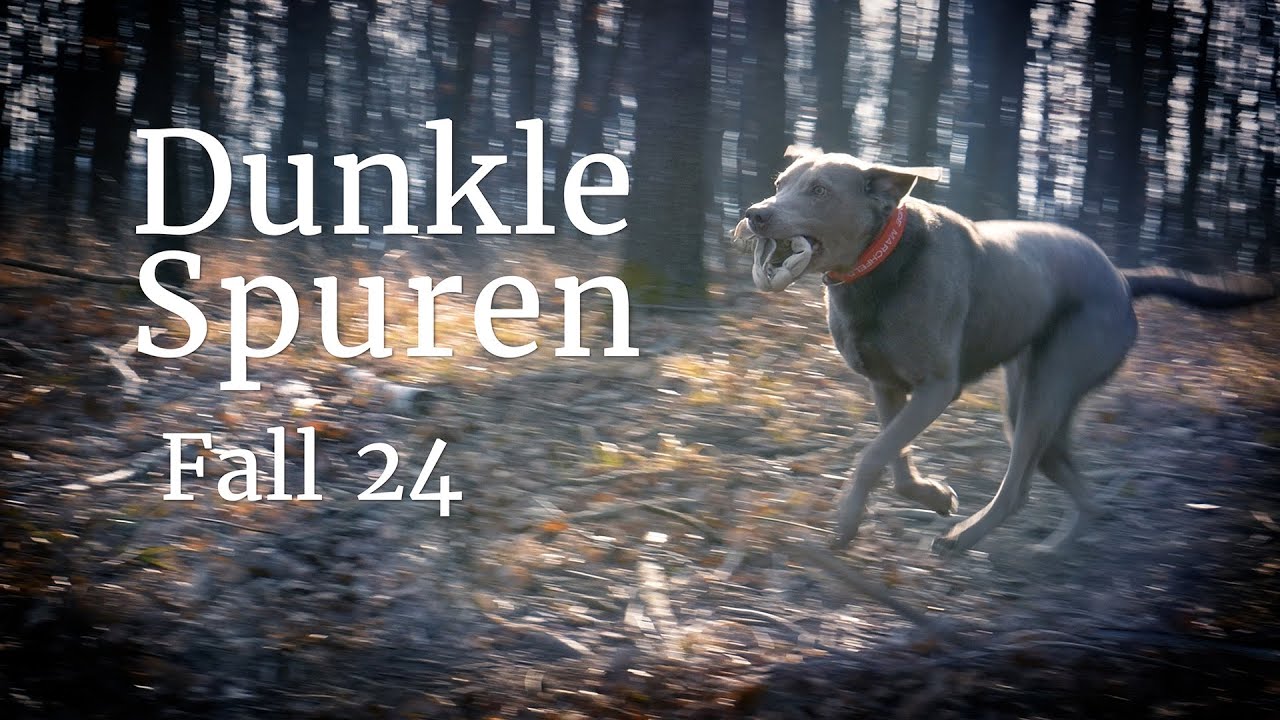 Dunkle Spuren: Wo ist Jenni? - Der Fall Jennifer Scharinger