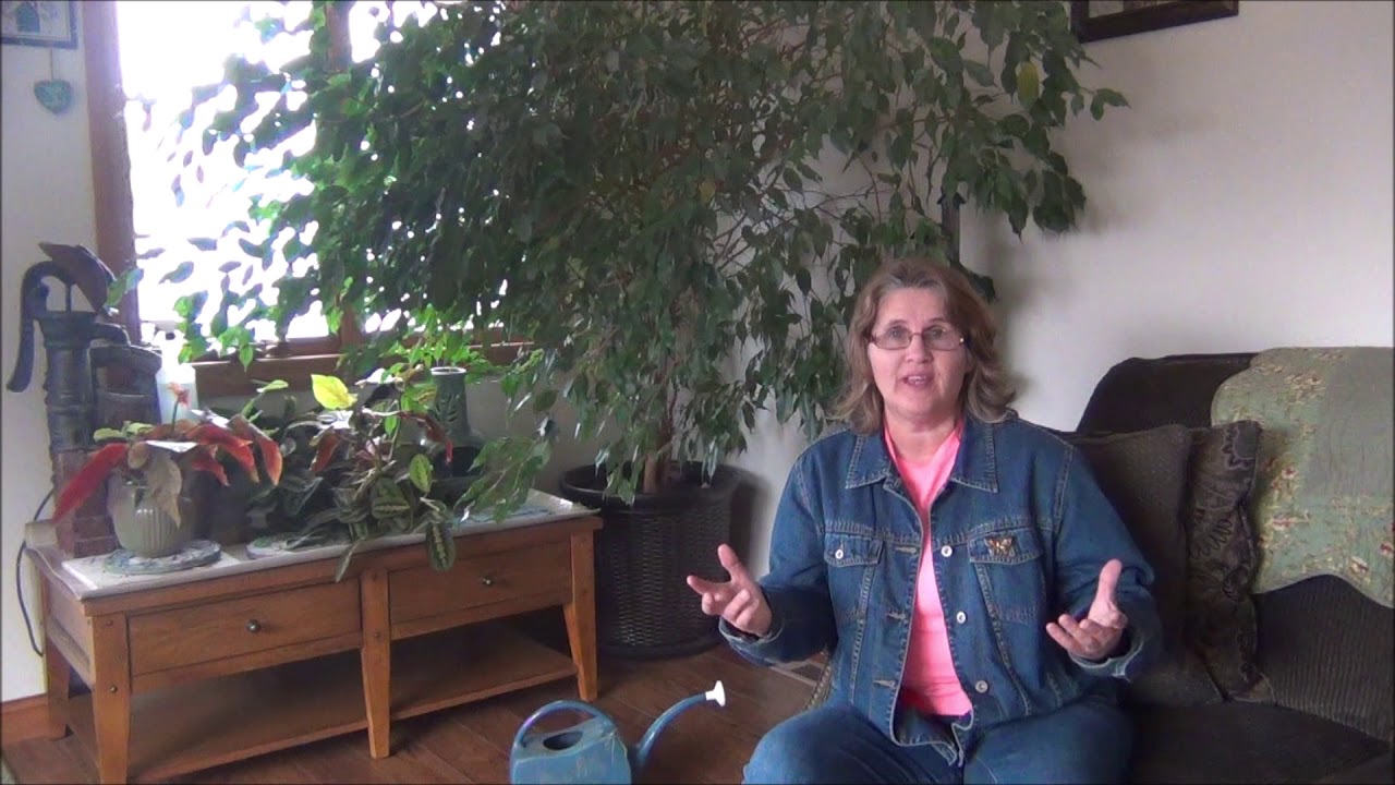 2018 Diane Mumm Garden Video's -  Trailer  Video