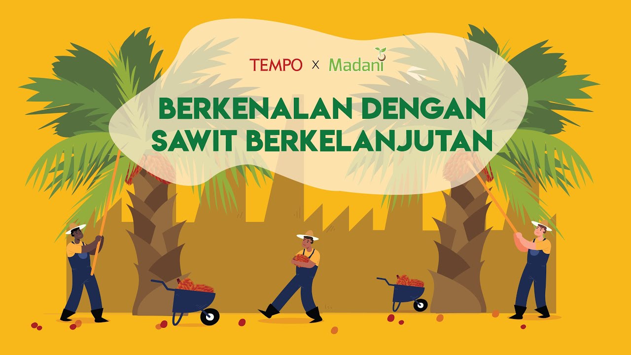 Berkenalan dengan Sawit Berkelanjutan!