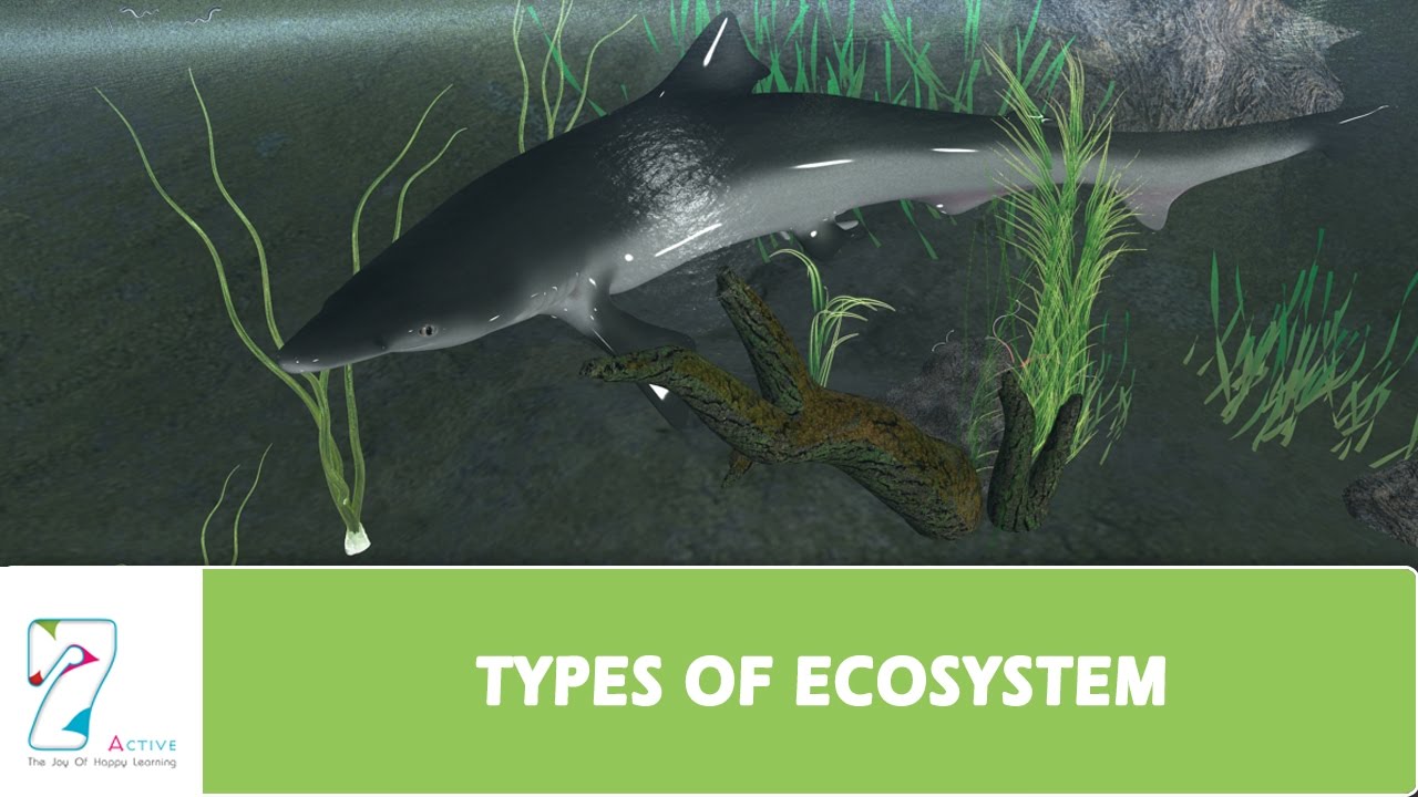 TYPES OF ECOSYSTEM