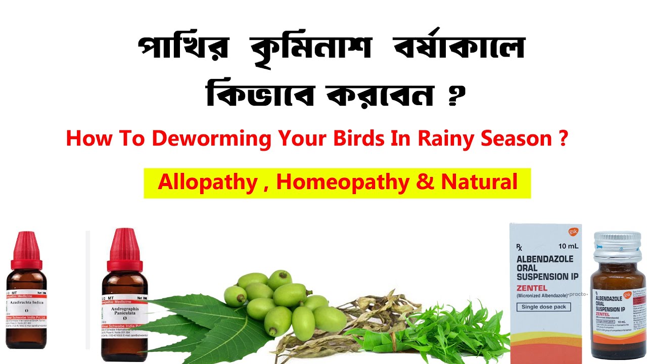 বর্ষাকালে পাখির কৃমিনাশ করা উচিত করলে কিভাবে করবেন ? | How To Deworming Your Birds In Rainy Season ?
