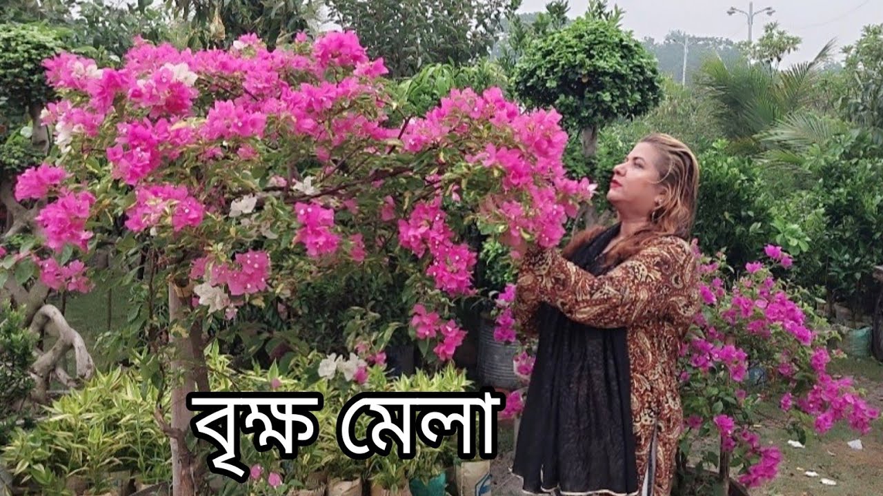 জাতীয় বৃক্ষ মেলা ঢাকা, ২০২৩ || বৃক্ষ মেলায় ইনডোর এবং আউটডোর গাছের দাম কত || Rowsan Ara