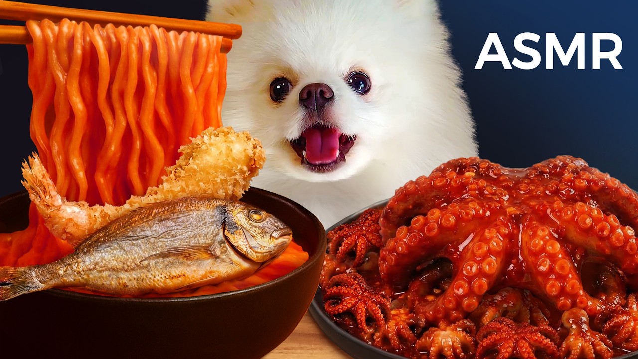 ASMR Mukbang | Yue the Pomeranian Eating Fire Noodles, Spicy Seafood Korean & Fish