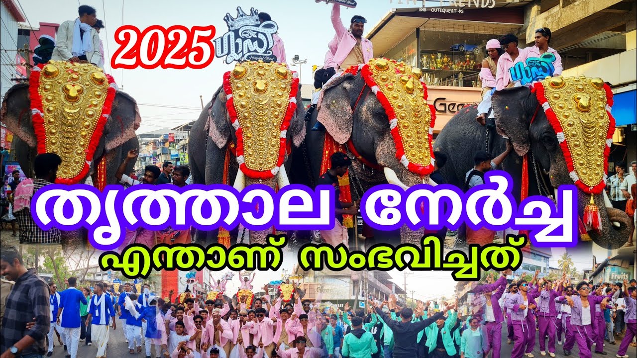 തൃത്തല നേർച്ച 2025 യിൽ വരവുകൾ വരുമ്പോൾ ഉണ്ടായ സംഭവം കണ്ടൊ 🤷‍♂️#thrithala #nercha #2025 #lathevlogs