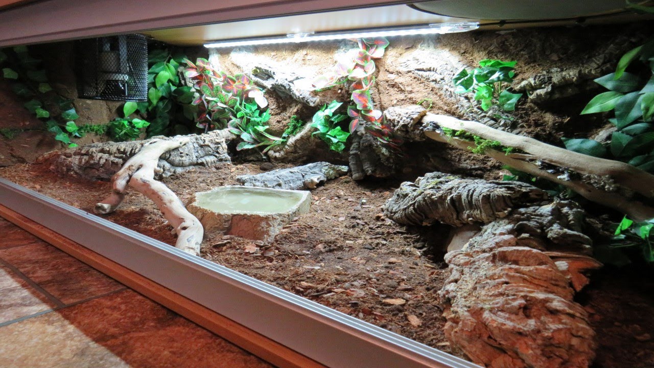 Naturalistic Royal / Ball Python Enclosure ...... 