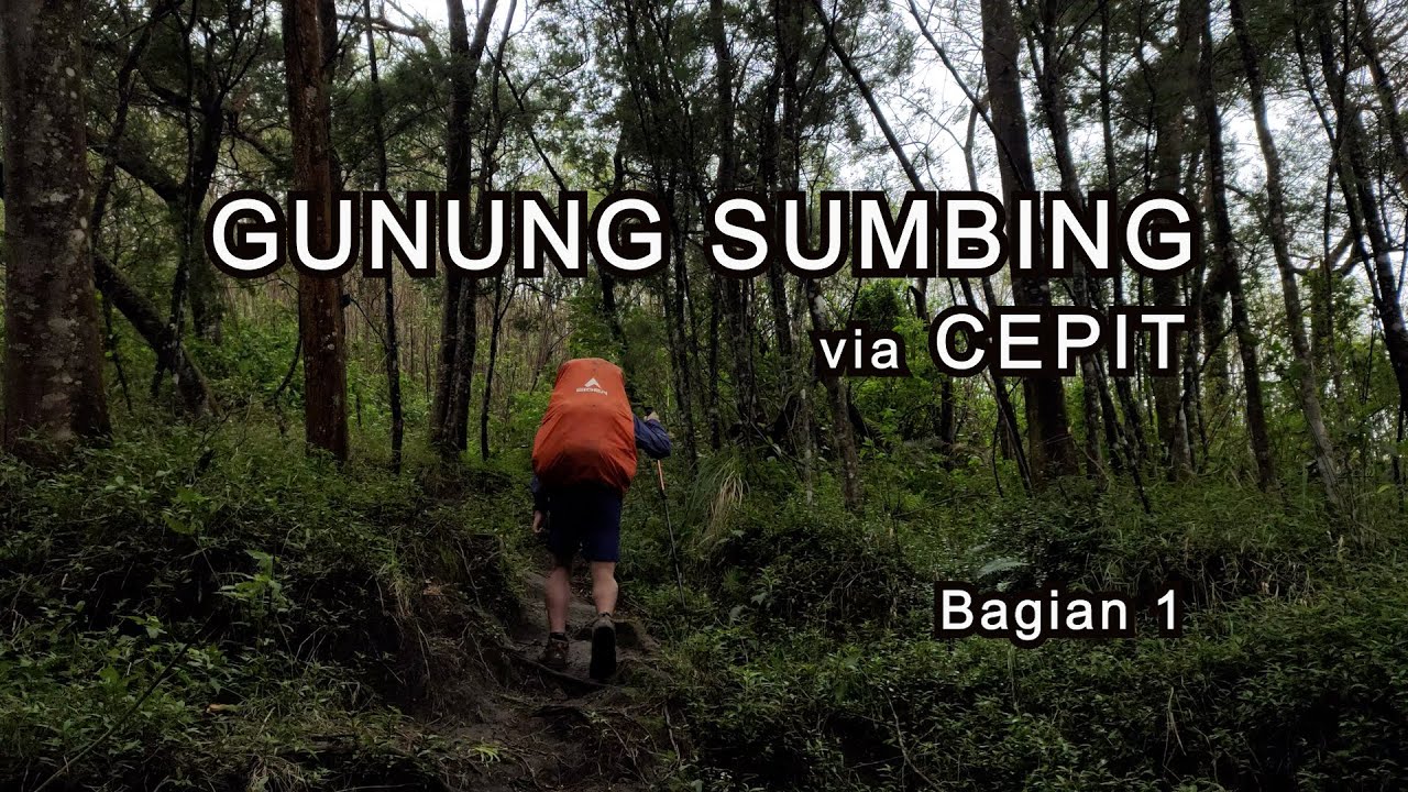 Solo Hiking Gunung Sumbing via Cepit #1 Jalur Berbatu yang Menanjak