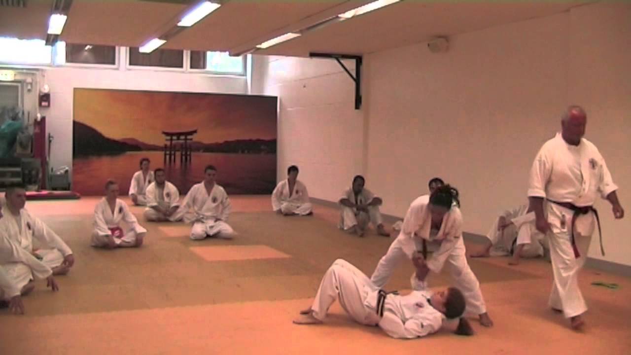 Kikokan Prüfung 2013 08 17 - H - 2.KYU - Kumite