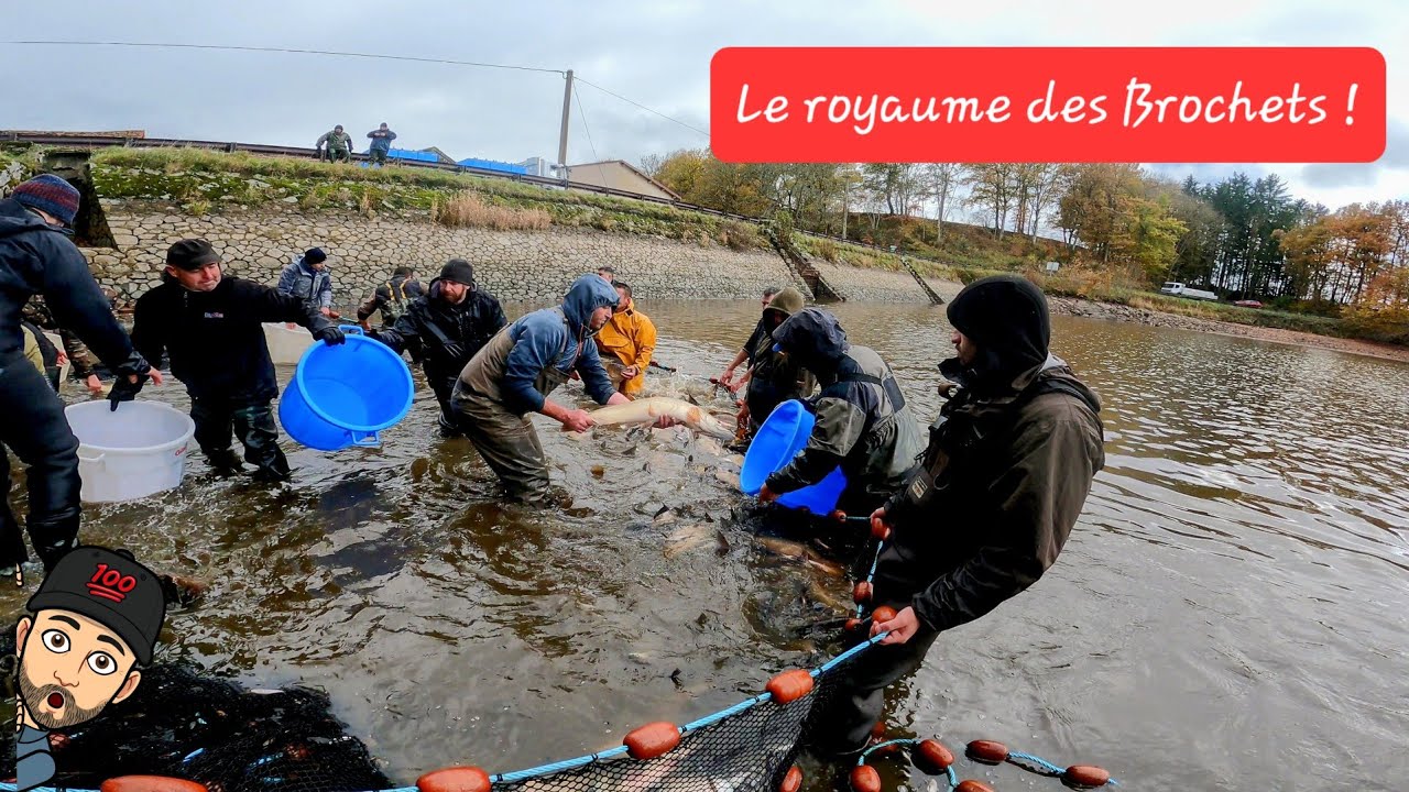 Cet étang se vide et dévoile ses secrets !
