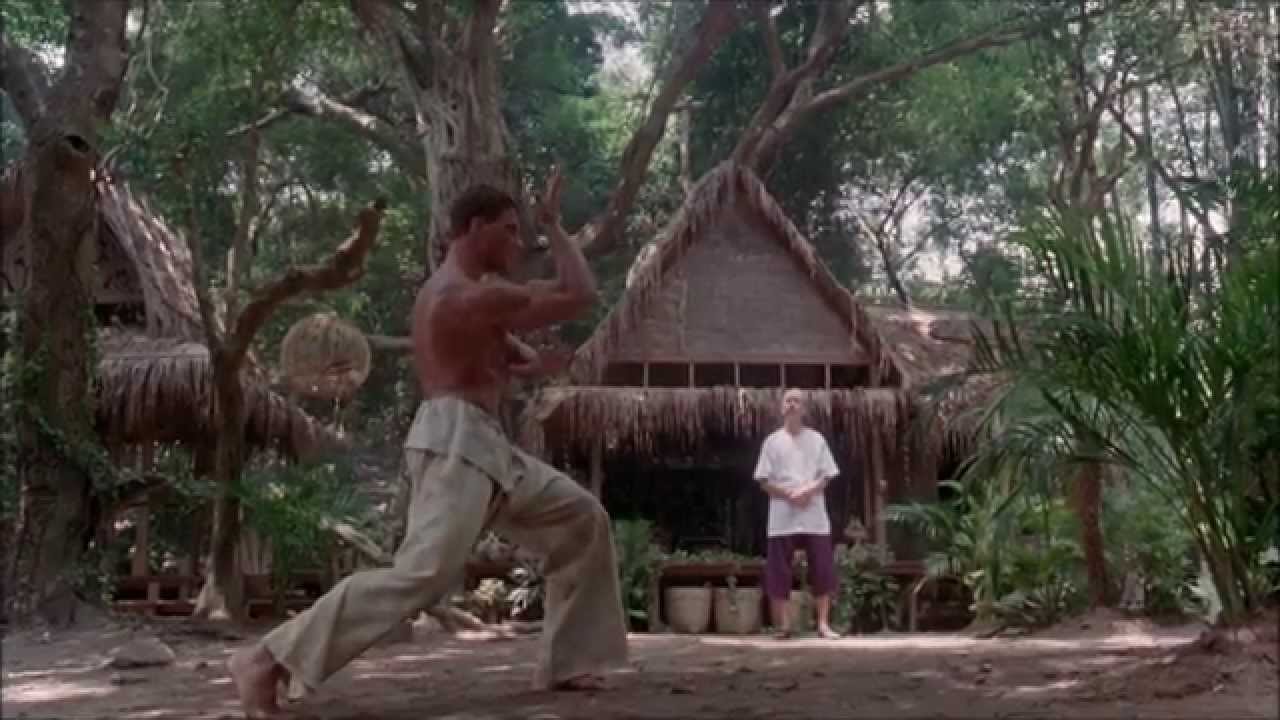 Paul Hertzog -  Advanced Training (Kickboxer OST)